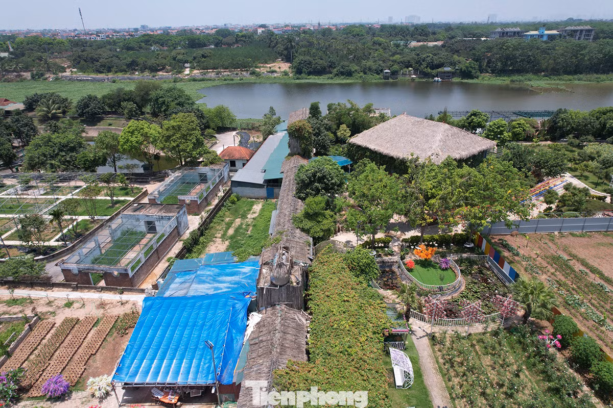 Trả lời tại phiên chất vấn, lãnh đạo huyện Phúc Thọ cho biết dự án được phê duyệt là trồng hoa cây cảnh khu đất Tân Bồi xã Hiệp Thuận với diện tích 9.400 m2. Toàn bộ diện tích khu vực này ngập úng, khó canh tác nên UBND xã kêu gọi đầu tư.