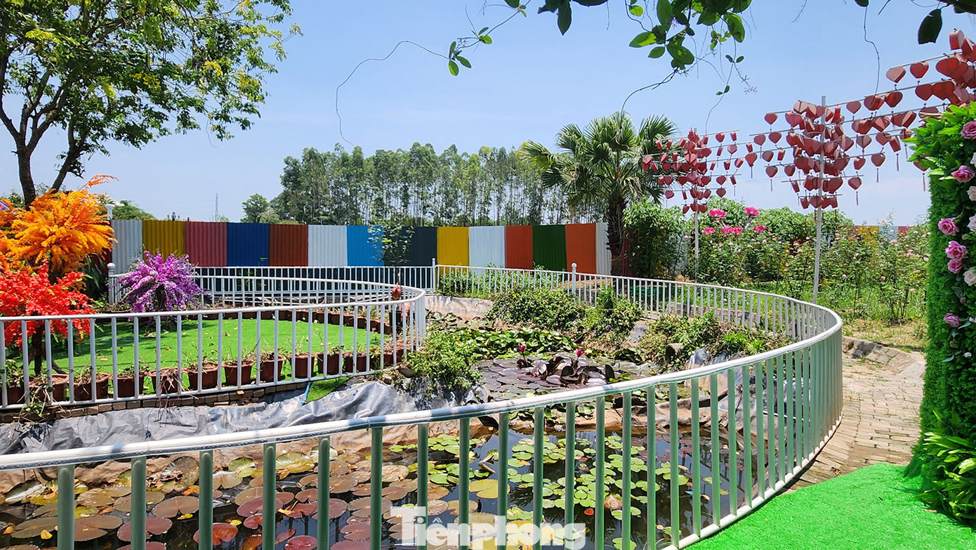 Hiện nay khu sinh thái đang dừng hoạt động để tự tháo dỡ các hạng mục vi phạm.