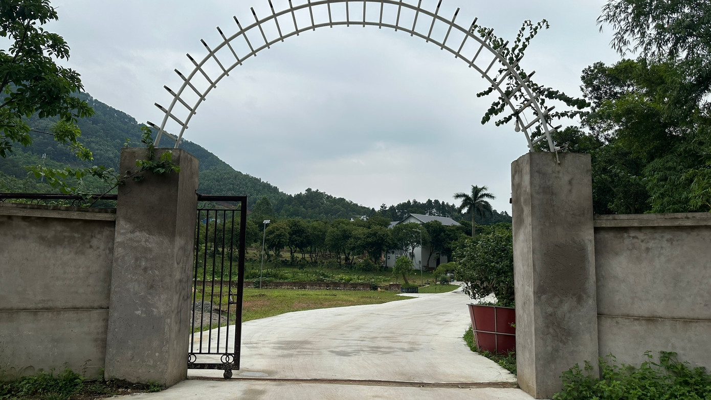 Ghi nhận tại khu vực hồ Ban Tiện (xã Minh Phú, huyện Sóc Sơn), 3 năm qua, hàng chục homestay được xây dựng mới quanh khu vực này.