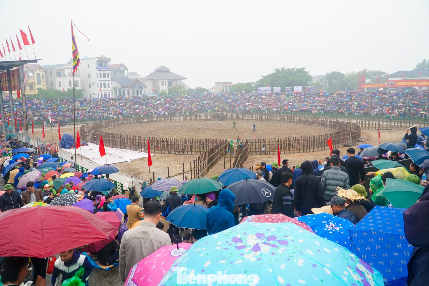 Lễ hội chọi trâu tại Vĩnh Phúc. Ảnh: Nguyễn Trọng Tài Lễ hội chọi trâu tại Vĩnh Phúc. Ảnh: Nguyễn Trọng Tài