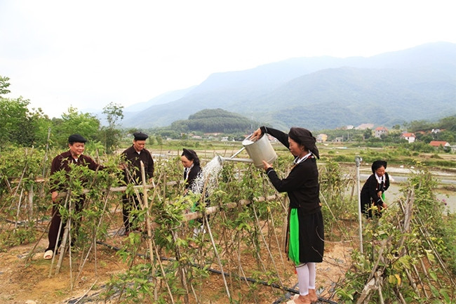 Đồng bào dân tộc thiểu số xã Đạo Trù, huyện Tam Đảo