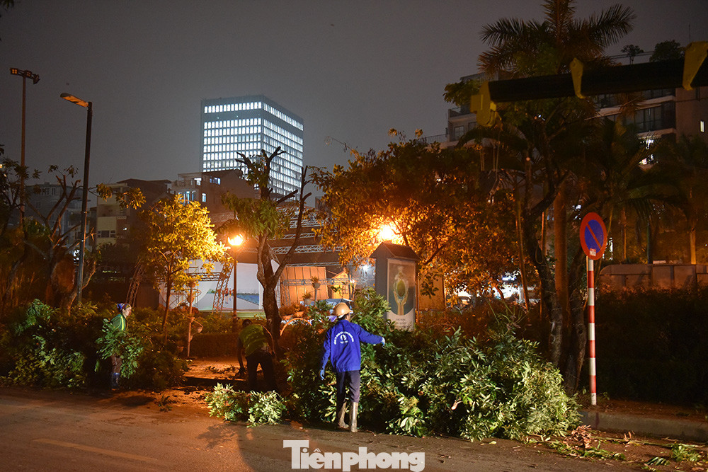 Việc di dời nhằm tạo sự đồng bộ cây xanh trên toàn tuyến phố, chỉnh trang hạ tầng kỹ thuật và cảnh quan đô thị khu vực góp phần đẩy mạnh phát triển kinh tế, văn hóa và du lịch quận Tây Hồ. Việc di dời nhằm tạo sự đồng bộ cây xanh trên toàn tuyến phố, chỉnh trang hạ tầng kỹ thuật và cảnh quan đô thị khu vực góp phần đẩy mạnh phát triển kinh tế, văn hóa và du lịch quận Tây Hồ.