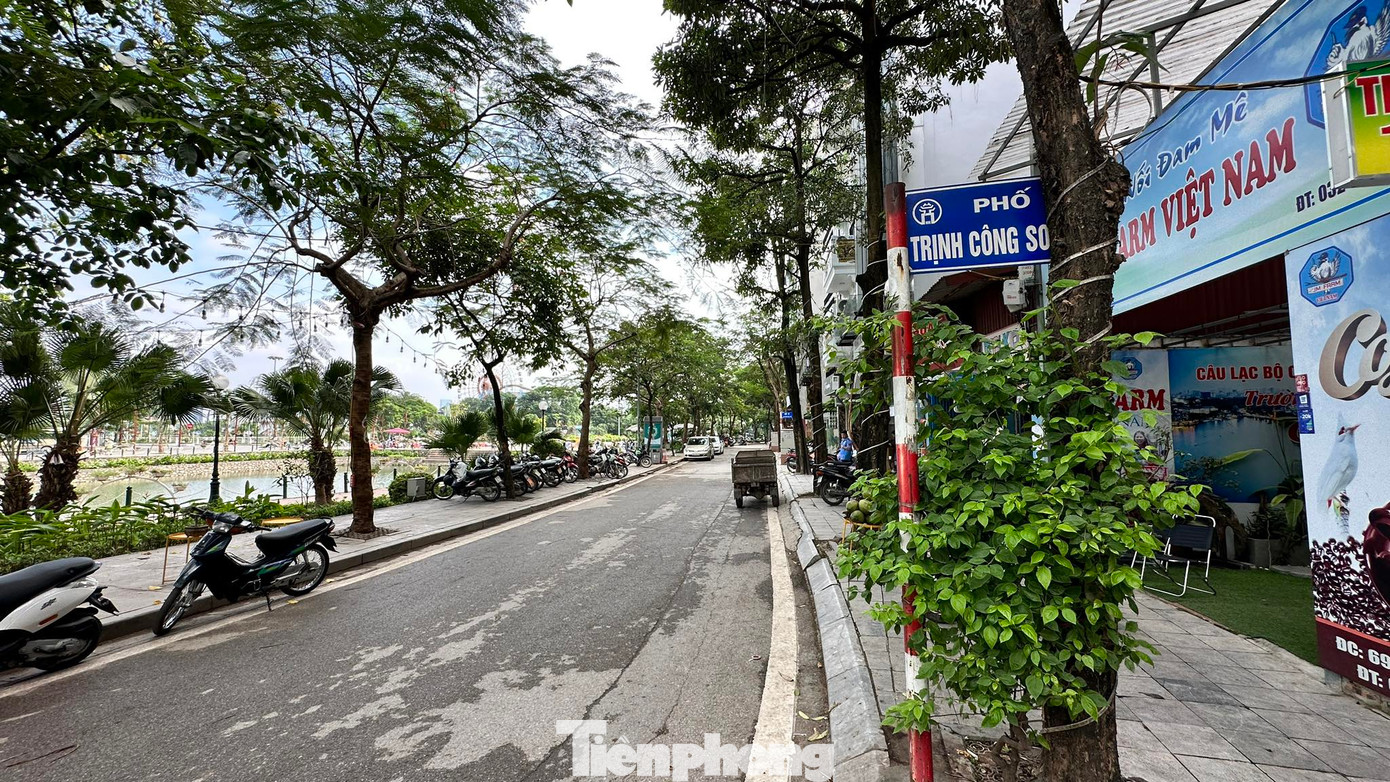 Tại quận Tây Hồ, mới đây UBND phường Nhật Tân đã có đề xuất UBND quận Tây Hồ cho phép thí điểm thuê hè kinh doanh trên 2 tuyến phố Trịnh Công Sơn và Vũ Tuấn Chiêu. Với phố Trịnh Công Sơn, một nửa bên công viên sẽ là nơi đi dạo của người dân (do không có nhà dân), nửa đối diện là nơi buôn bán kinh doanh