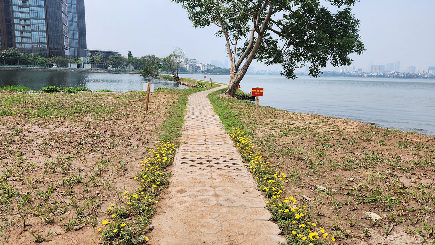 Đoạn kè đất sau khi được chỉnh trang. Đoạn kè đất sau khi được chỉnh trang.