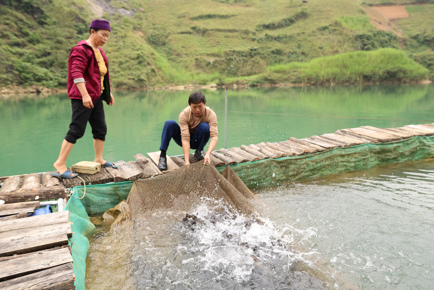Con đường khởi nghiệp của anh Hùng không trải đầy hoa hồng. Tháng 6, 7 năm đó, mưa lớn cá không lớn nổi; tháng 12 bão lớn làm đứt cả cáp neo lồng. Tuy nhiên, anh Hùng xác định &quot;phóng lao phải theo lao&quot; nên lại tiếp tục vay mượn để nuôi đợt 3.