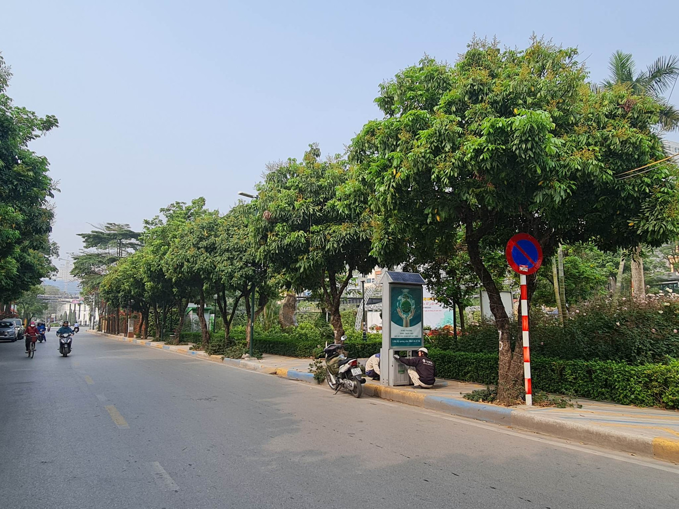 Phố Vũ Tuấn Chiêu là trục chính trong không gian đi bộ Trịnh Công Sơn