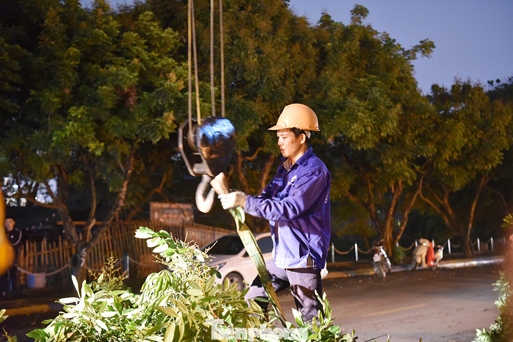 Việc tạo sự đồng bộ về cây xanh trên không gian đi bộ Trịnh Công Sơn là điều kiện cần để không gian này mở cửa trở lại vào hè năm nay. Việc tạo sự đồng bộ về cây xanh trên không gian đi bộ Trịnh Công Sơn là điều kiện cần để không gian này mở cửa trở lại vào hè năm nay.