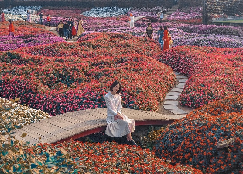 Quy hoạch hoa theo mùa giúp thung lũng hoa luôn có điểm mới mẻ, lôi cuốn du khách trở lại