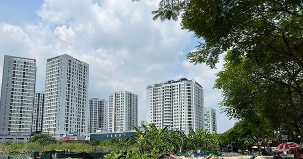 Một ô đất quy hoạch xây trường học nhưng vẫn bỏ hoang tại phường Hoàng Liệt, quận Hoàng Mai Một ô đất quy hoạch xây trường học nhưng vẫn bỏ hoang tại phường Hoàng Liệt, quận Hoàng Mai