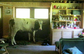 Ảnh: Weirdworldnews 