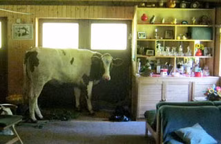 Ảnh: Weirdworldnews 