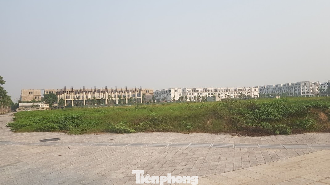 Dự án BT 1.500 tỷ của Bitexco vướng GPMB do khu tái định cư chưa có ảnh 3