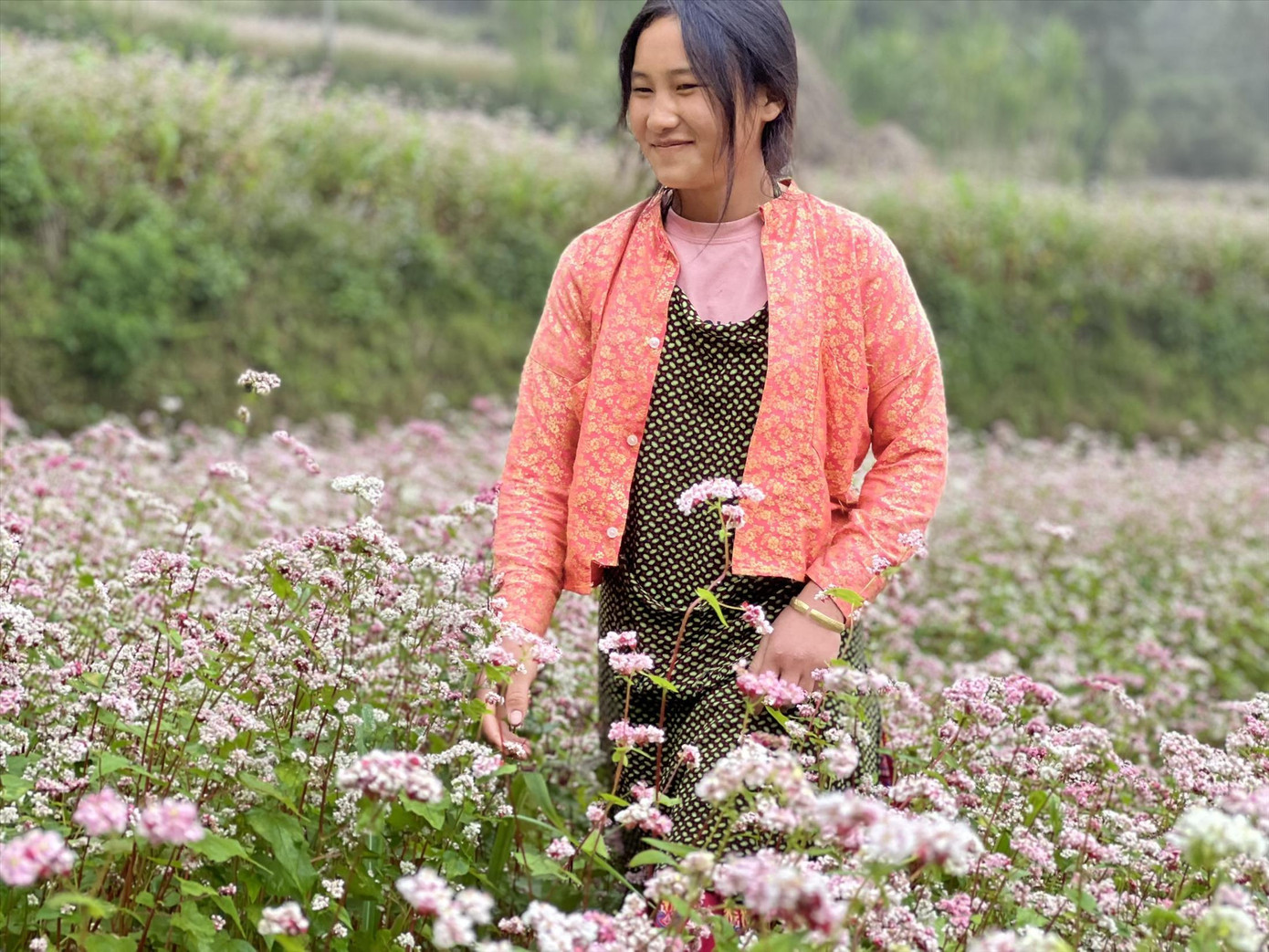 Những vườn hoa tam giác mạch rực rỡ bung nở trên cao nguyên đá Đồng Văn. Ảnh: KỲ SƠN Những vườn hoa tam giác mạch rực rỡ bung nở trên cao nguyên đá Đồng Văn. Ảnh: KỲ SƠN