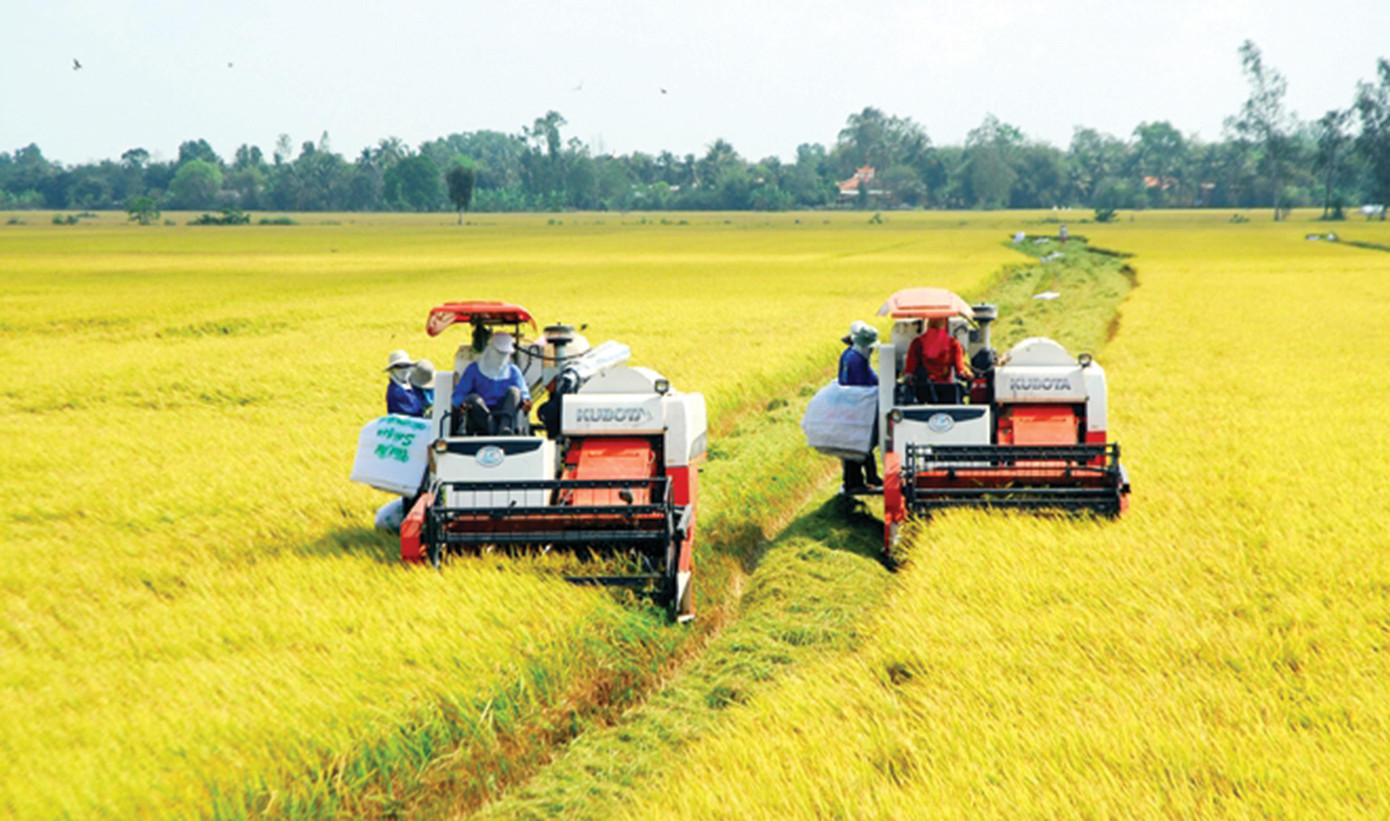 Hàng triệu nông dân và DN Việt Nam đang sản xuất trong trạng thái tù mù như người lính chiến đấu nhưng thiếu thông tin trinh sát Hàng triệu nông dân và DN Việt Nam đang sản xuất trong trạng thái tù mù như người lính chiến đấu nhưng thiếu thông tin trinh sát