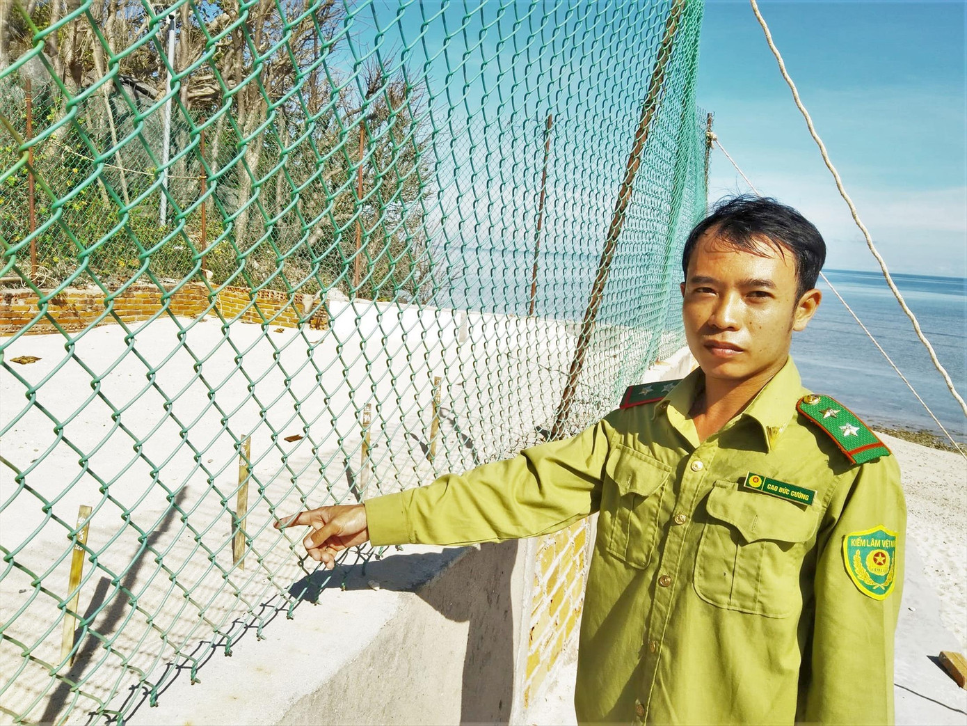 Các tổ ấp trứng rùa Ảnh: Trần Nguyên Anh