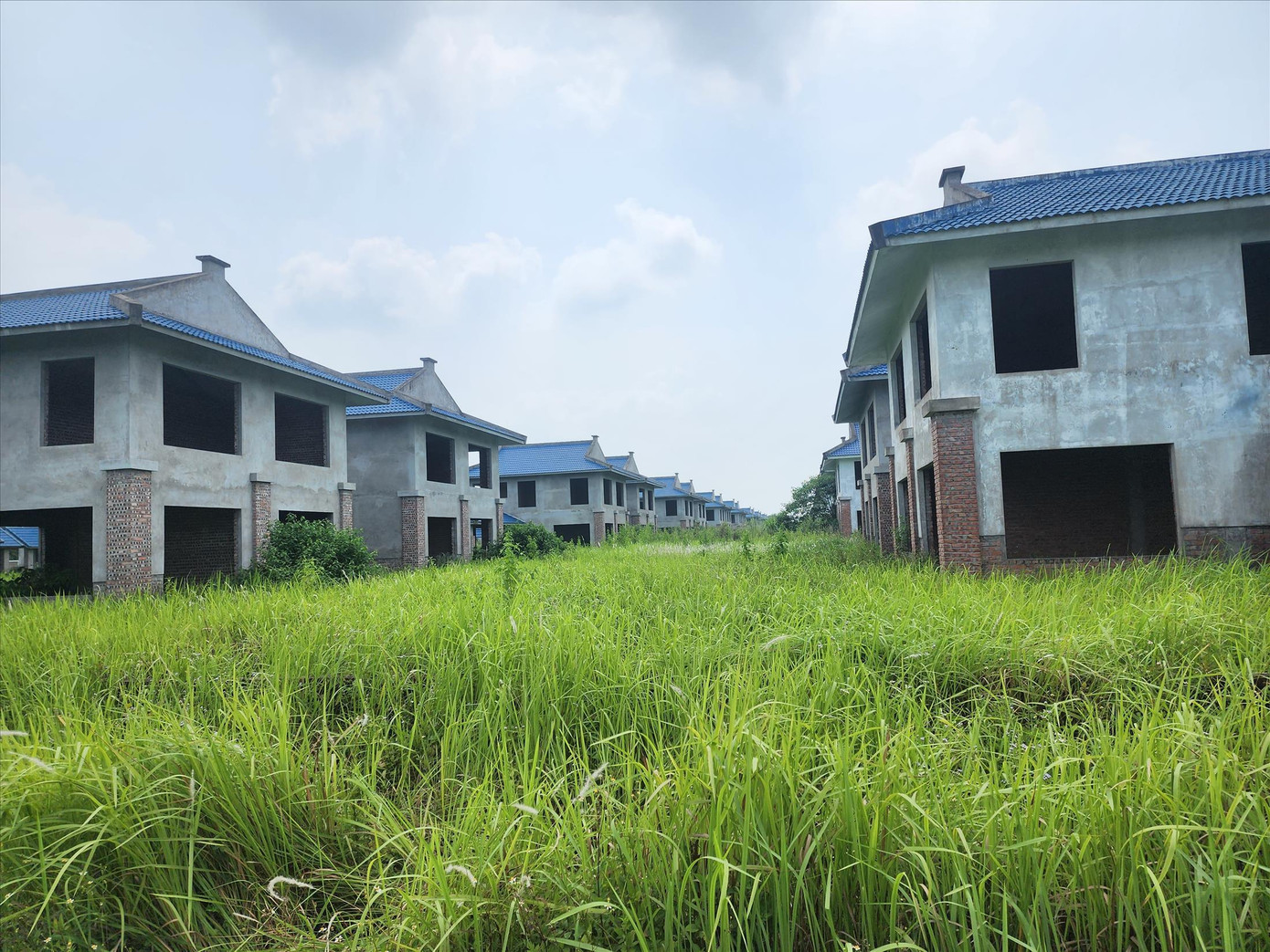 Dự án Làng sinh thái, du lịch, đô thị đầm Dạ Trạch đang bỏ hoang