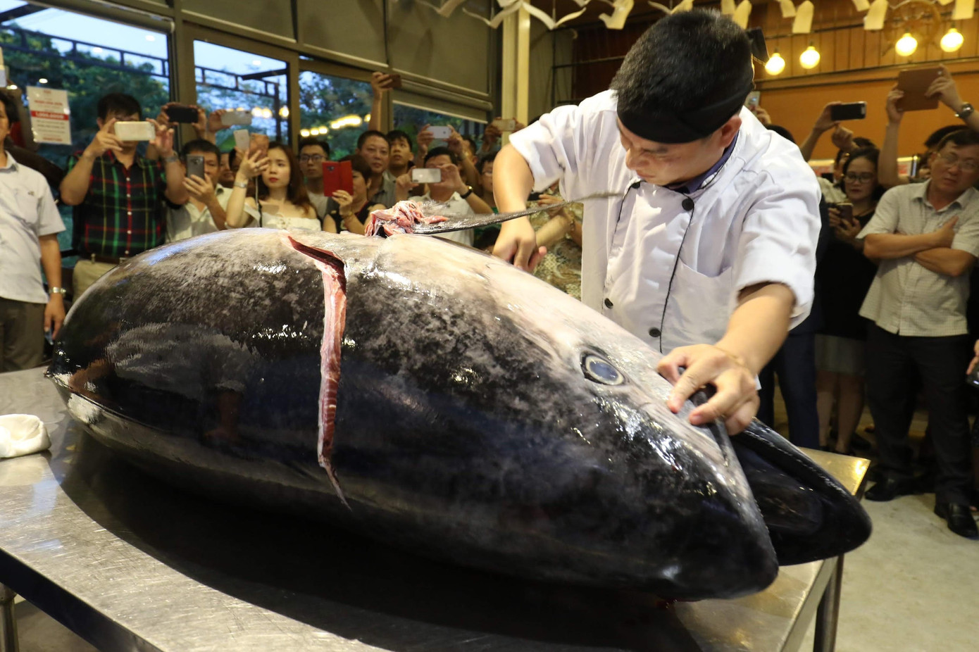 Thủy sản được xuất nhiều sang Israel Ảnh: Ngọc Mai