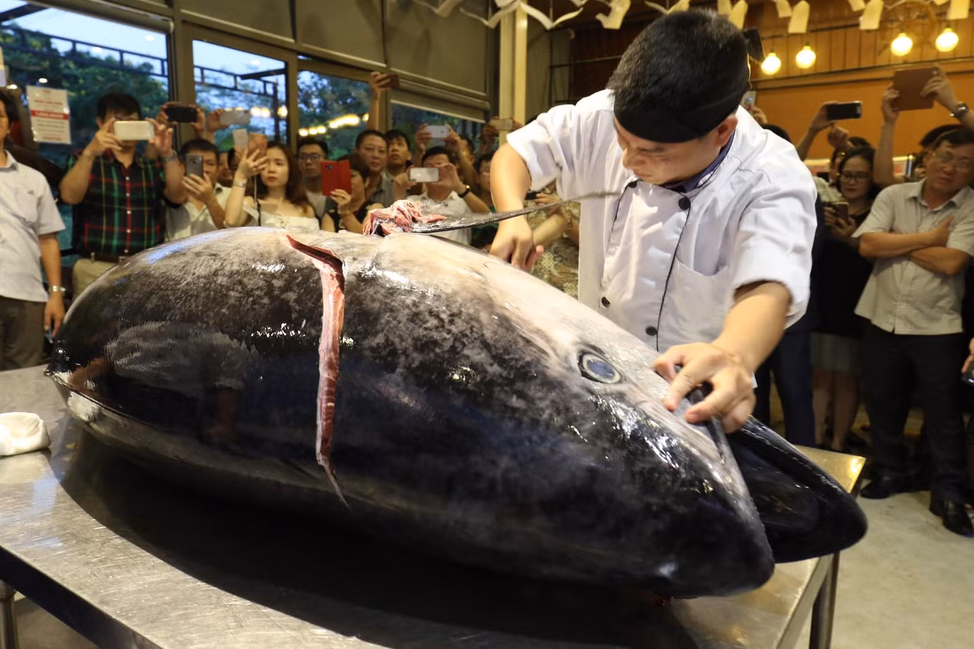 Thủy sản được xuất nhiều sang Israel Ảnh: Ngọc Mai