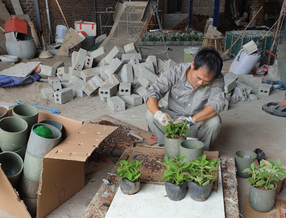 Anh Thái Khắc Tiến trồng cây vào các chậu cây được tái chế từ vỏ hộp sữa giấy