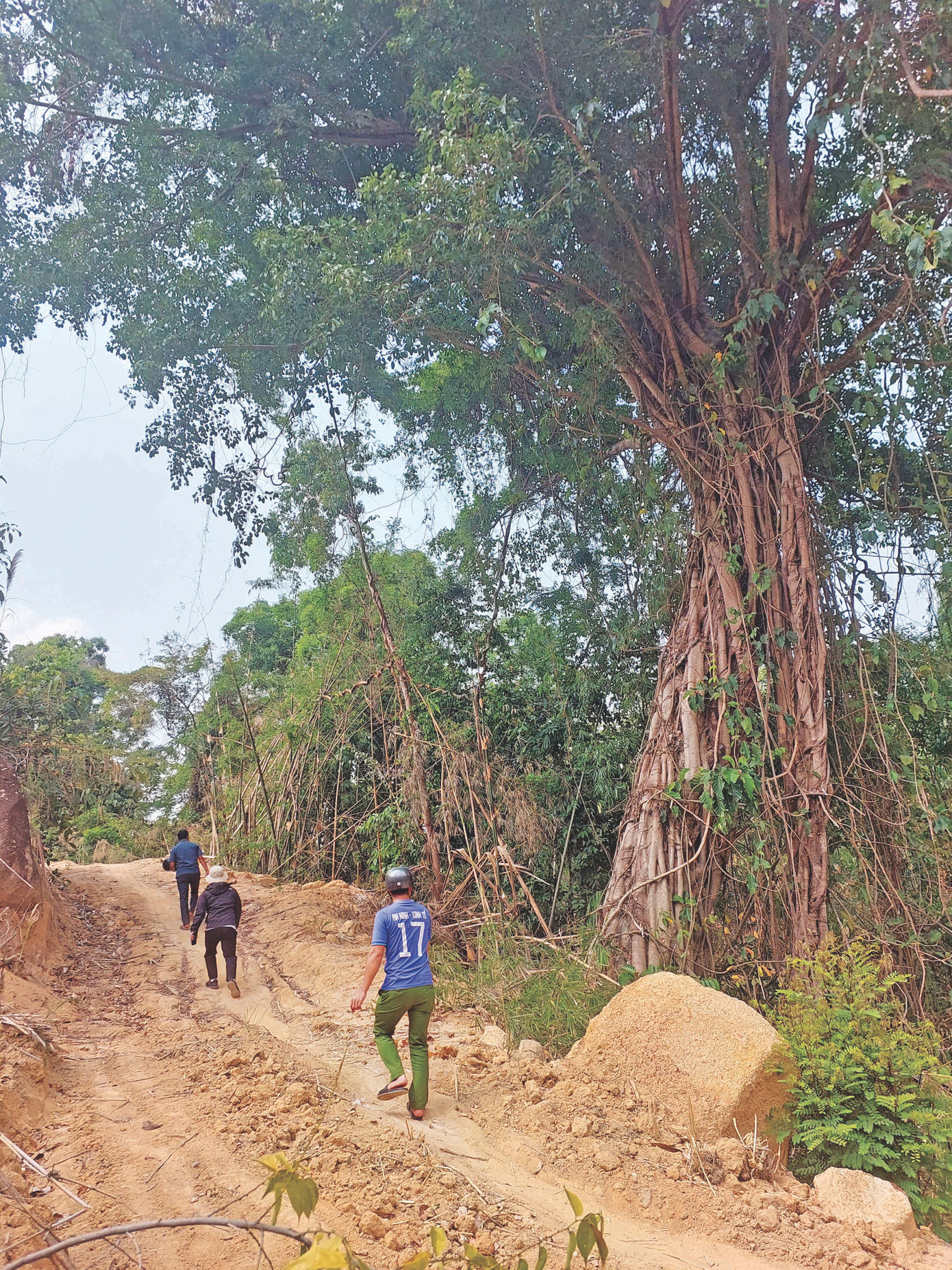 Đường lên miệng hầm địa đạo Ia Kreng, mà theo Rơ Châm Tâm là nơi bộ đội gác mành tre lên các phiến đá, để y bác sỹ cứu chữa các bệnh binh (ảnh nhỏ). Đường lên miệng hầm địa đạo Ia Kreng, mà theo Rơ Châm Tâm là nơi bộ đội gác mành tre lên các phiến đá, để y bác sỹ cứu chữa các bệnh binh (ảnh nhỏ).