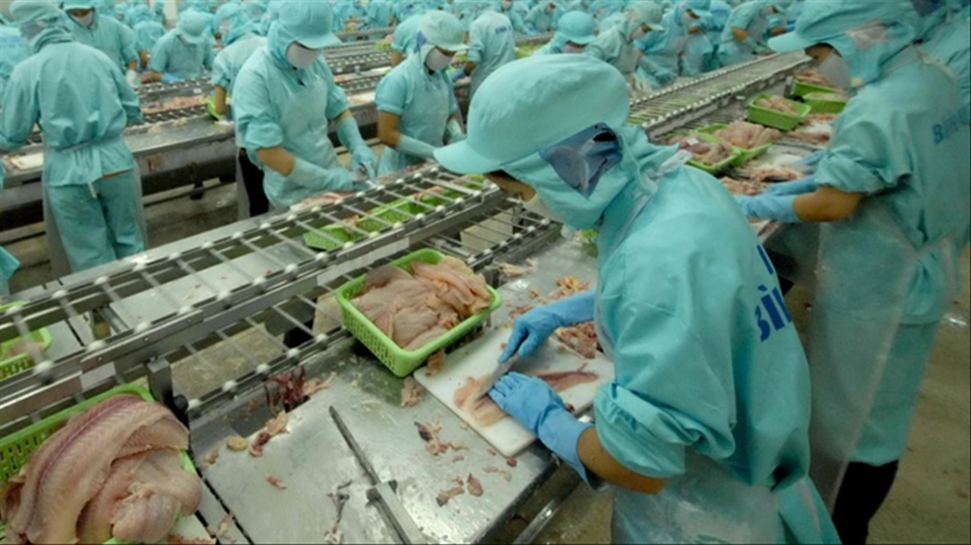 Các doanh nghiệp thủy sản kỳ vọng sớm được cởi trói các quy định bất cập Các doanh nghiệp thủy sản kỳ vọng sớm được cởi trói các quy định bất cập