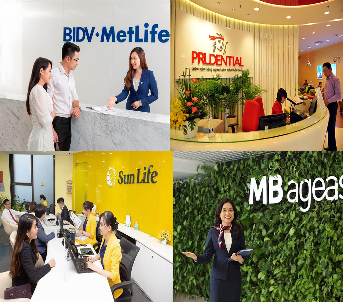 Bốn doanh nghiệp bảo hiểm vừa được Bộ Tài chính công bố kết luận thanh tra. Ảnh: PV. Bốn doanh nghiệp bảo hiểm vừa được Bộ Tài chính công bố kết luận thanh tra. Ảnh: PV.