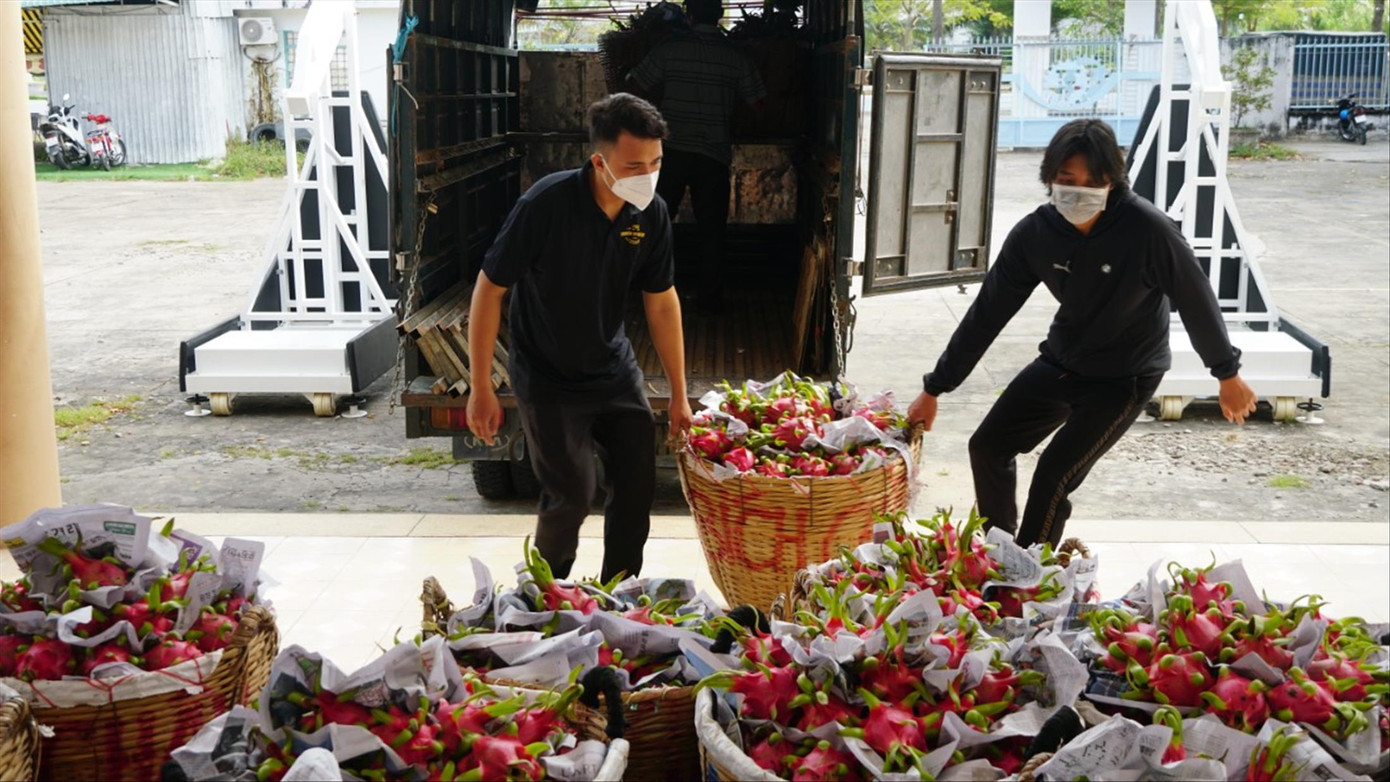 Các cơ quan đoàn thể ở Cần Thơ phối hợp giải cứu thanh long