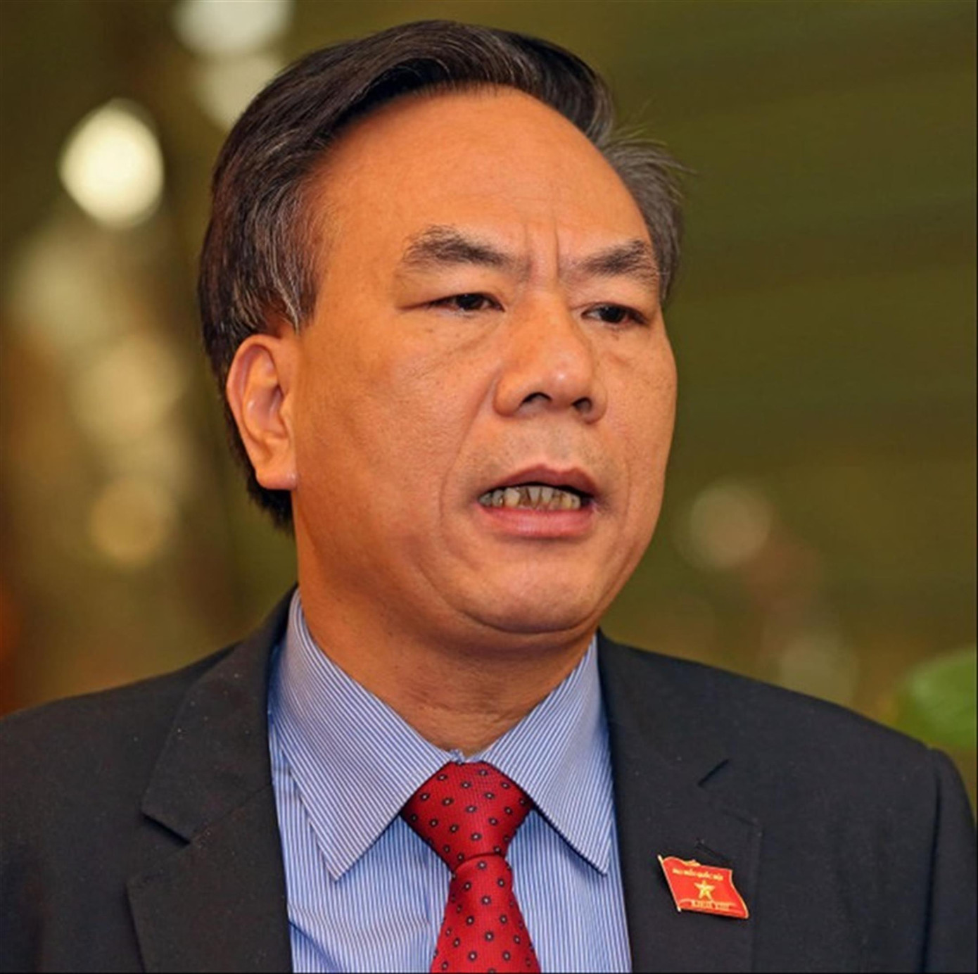 TS. Bùi Đức Thụ TS. Bùi Đức Thụ