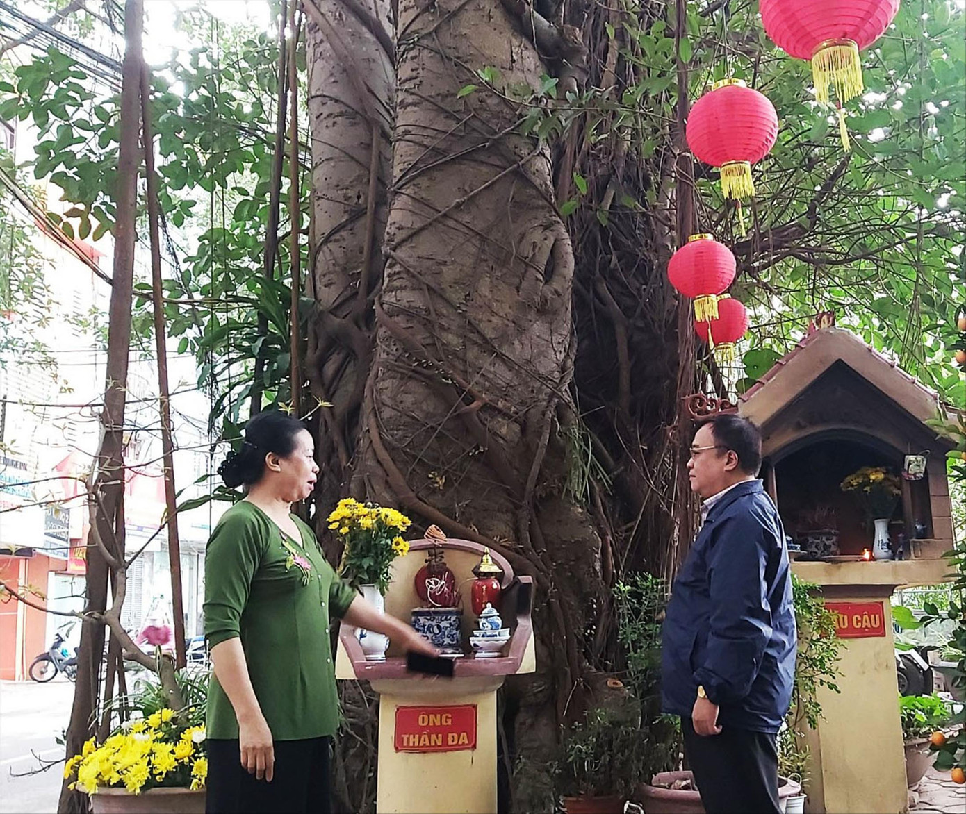 Bà Lưu Thị Phương giới thiệu cho phóng viên về cây đa di sản trước đền Quán Đôi. Ảnh: Võ Hóa