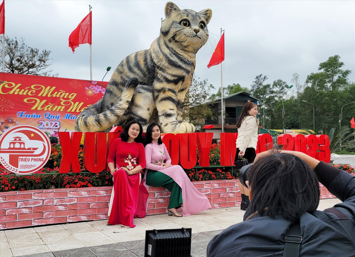 “Hoa hậu” mèo ở Quảng Trị níu chân du khách gần xa ghé thăm chiêm ngưỡng, chụp hình Ảnh: Giang Thanh