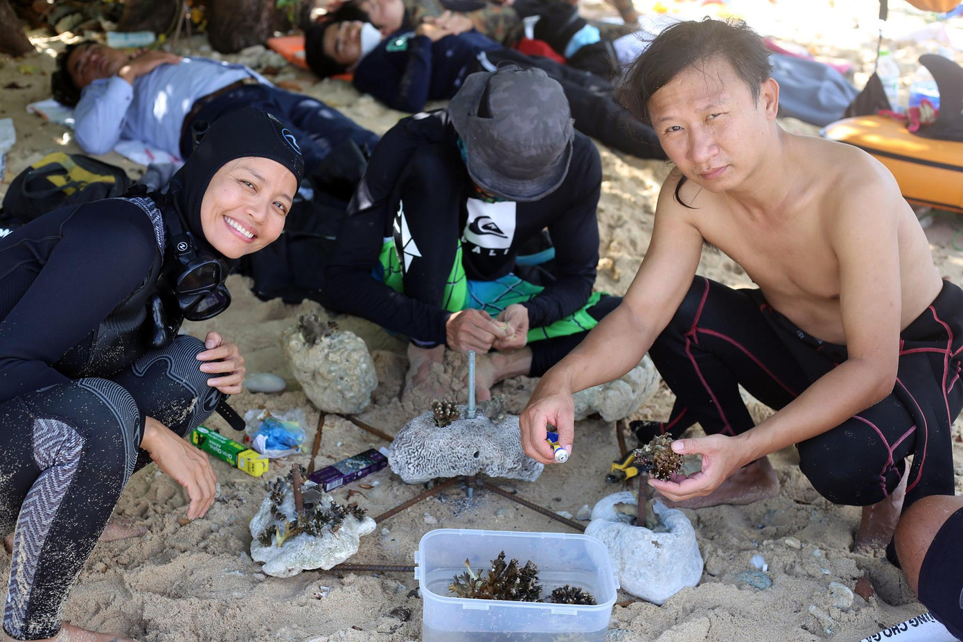 Triển khai giá thể nhân tạo thử nghiệm tại Phú Quốc Ảnh: Sasa