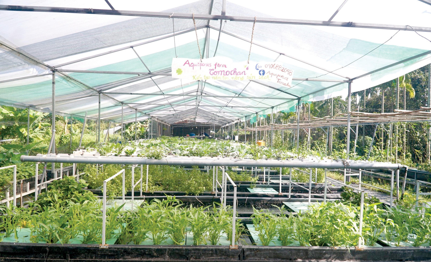 Mô hình nông nghiệp của vợ chồng anh Đặng Đức Hiếu. Ảnh: H.C