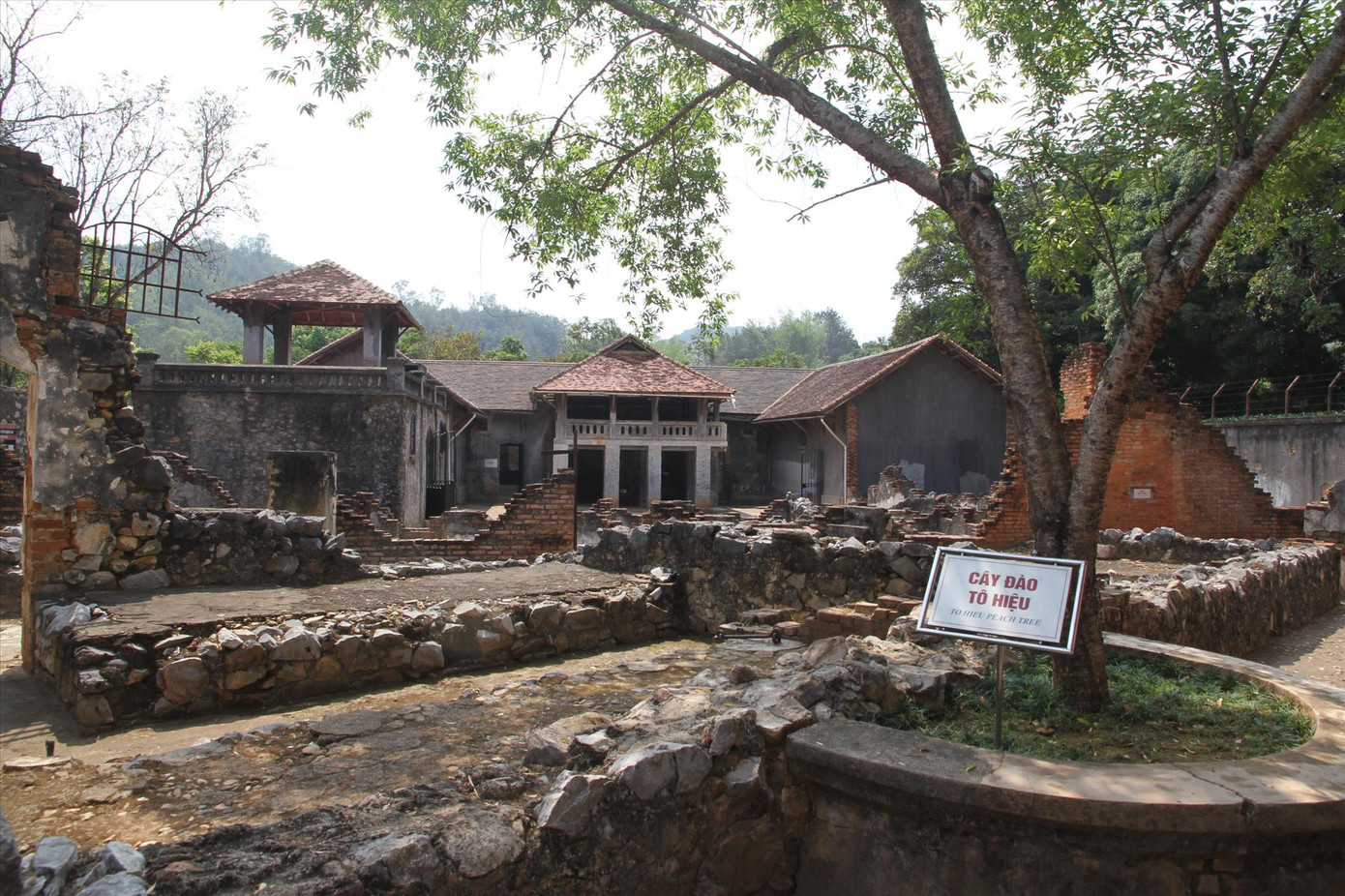 Di tích cây đào Tô Hiệu và nhà tù Sơn La