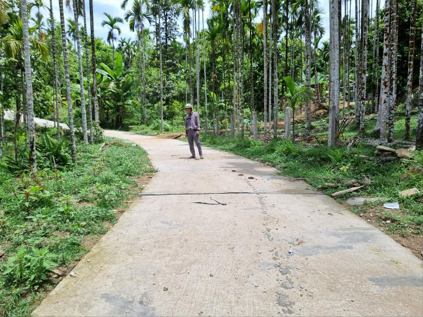 Tuyến đường bê tông nông thôn đoạn qua tổ 8 thôn 1 xã Tiên Lãnh