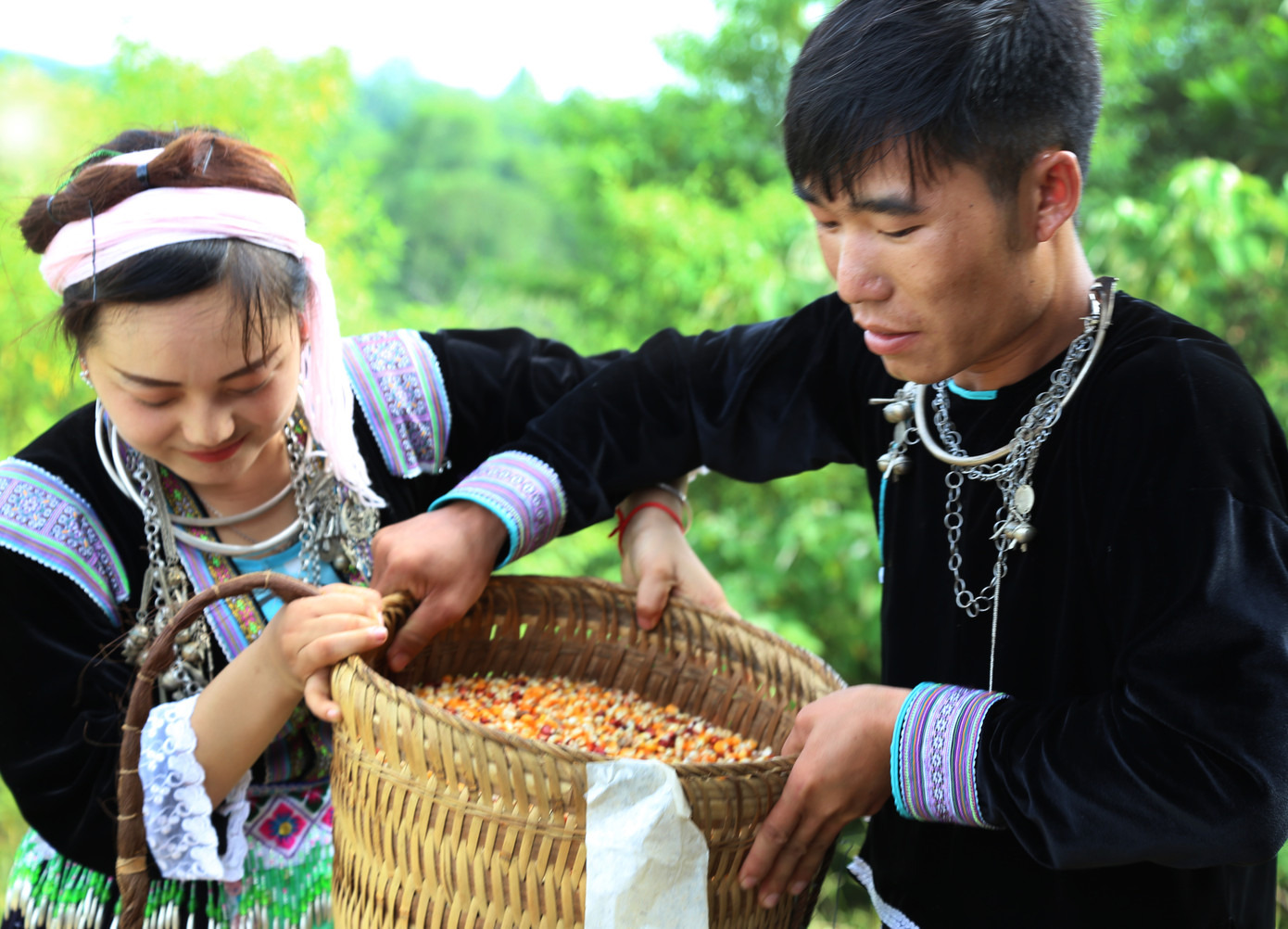 Hạnh phúc được mùa Hạnh phúc được mùa