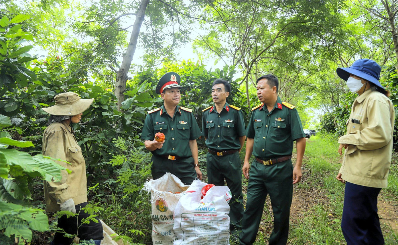 Lãnh đạo Quân khu 5 và Đoàn KTQP 737 trao đổi với người dân địa phương về thu hoạch ca cao