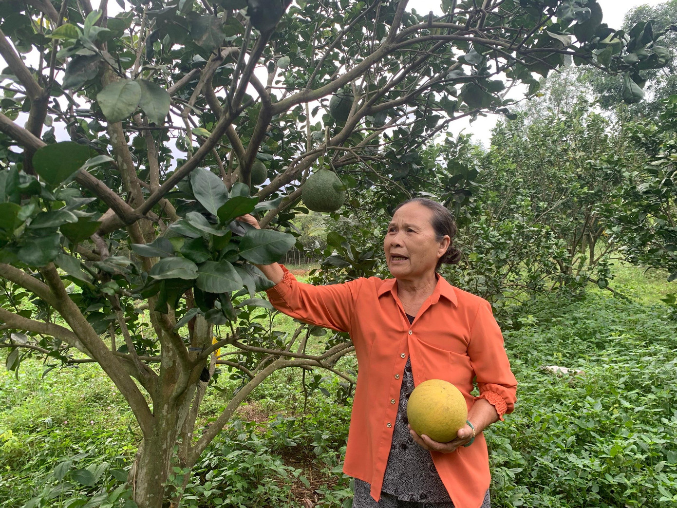 Bà Trần Thị Sương luôn là hậu phương vững chắc, quán xuyến công việc nhà giúp chồng yên tâm học hành Bà Trần Thị Sương luôn là hậu phương vững chắc, quán xuyến công việc nhà giúp chồng yên tâm học hành