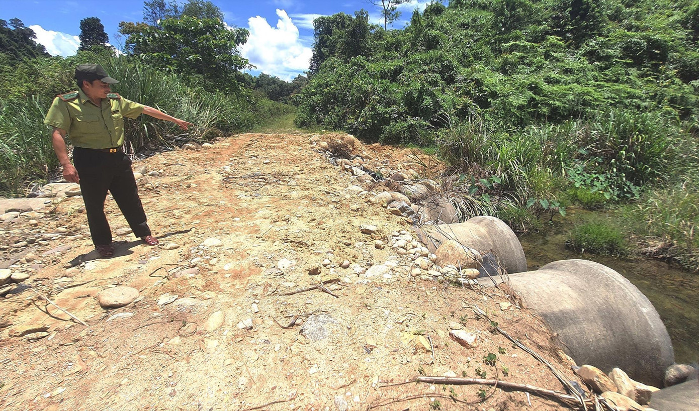 Đường công vụ trong vùng lõi VQG Bạch Mã bị hư hỏng, do thi công cao tốc đến nay vẫn chưa được khắc phục, hoàn trả