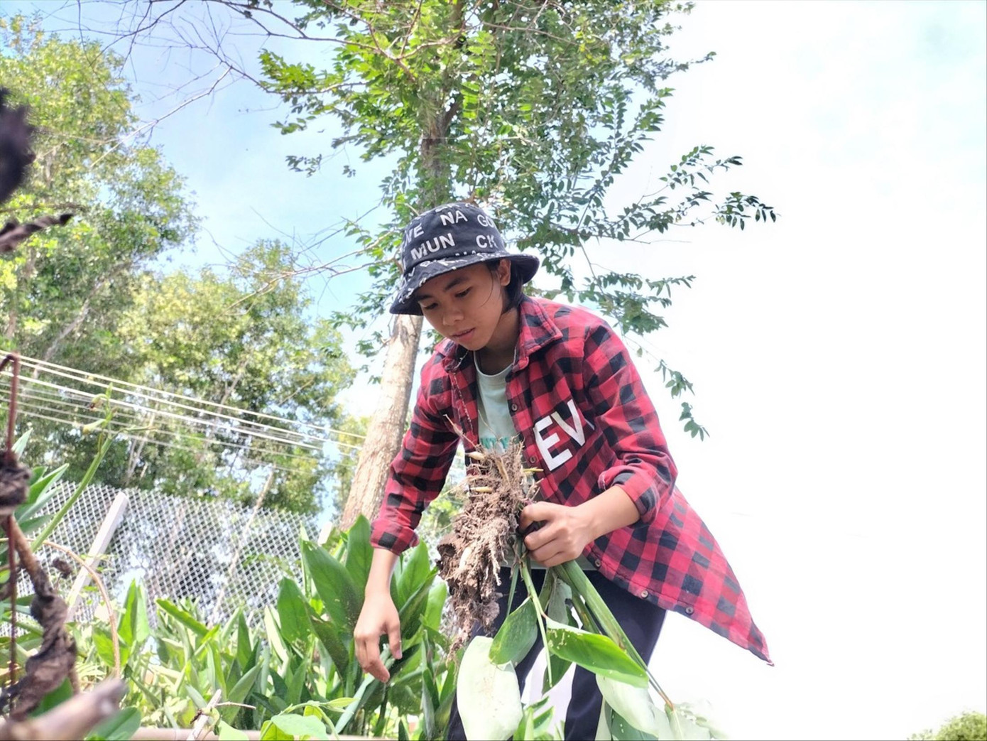 Thi Linh Chi tranh thủ làm thuê kiếm thêm tiền lo cho gia đình Thi Linh Chi tranh thủ làm thuê kiếm thêm tiền lo cho gia đình