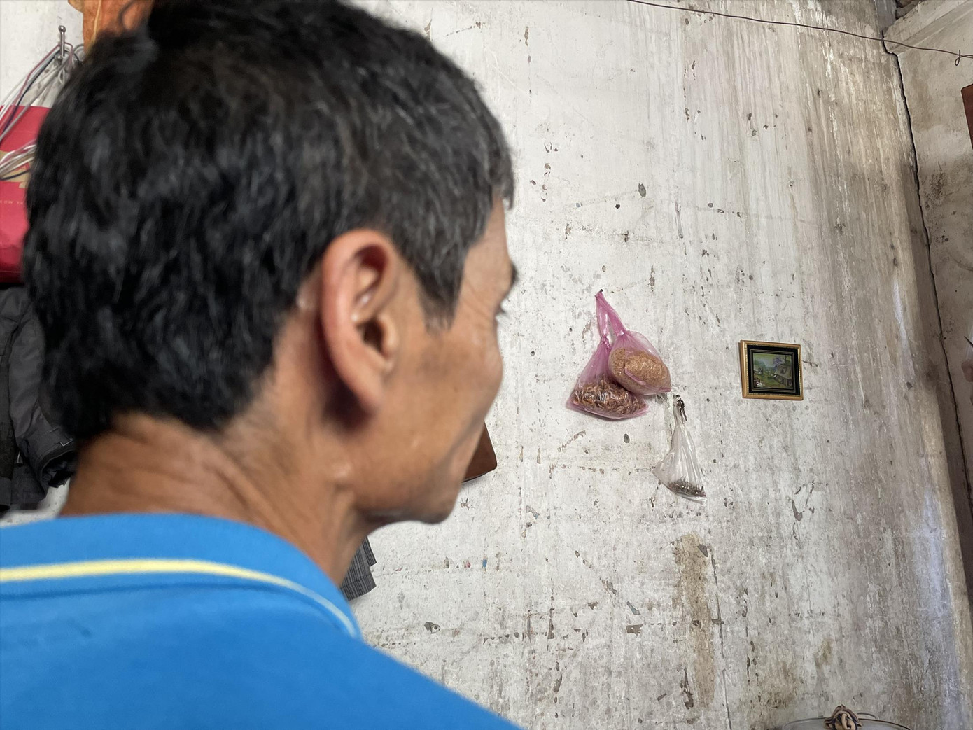 Ông Hà Văn Tương (quê Nam Định) nhìn chăm chú vào bức tranh làng quê Ông Hà Văn Tương (quê Nam Định) nhìn chăm chú vào bức tranh làng quê