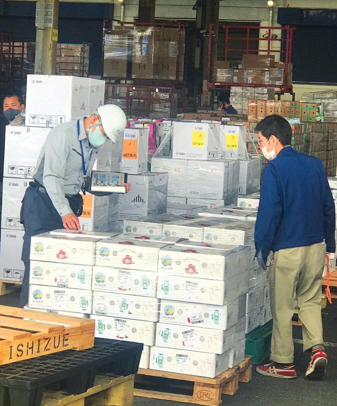 Các chuyên gia Nhật kiểm tra rất kỹ càng lô vải Việt Nam