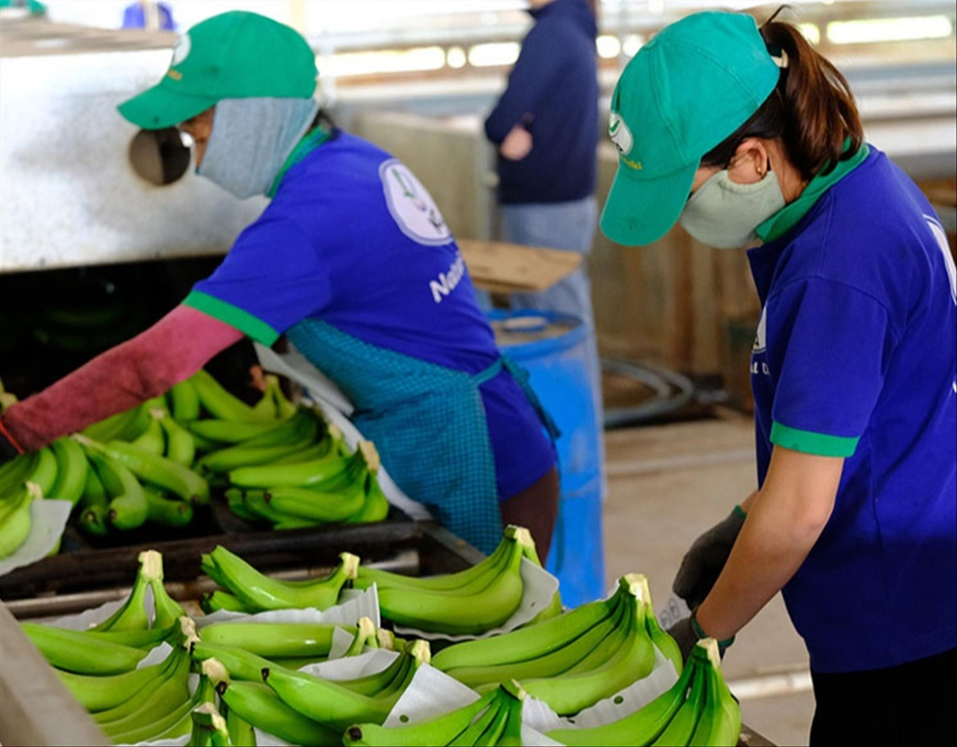 Theo các DN, nếu không kiểm soát được đà tăng phí logistics, việc phục hồi của DN trong năm 2022 sẽ rất chật vật