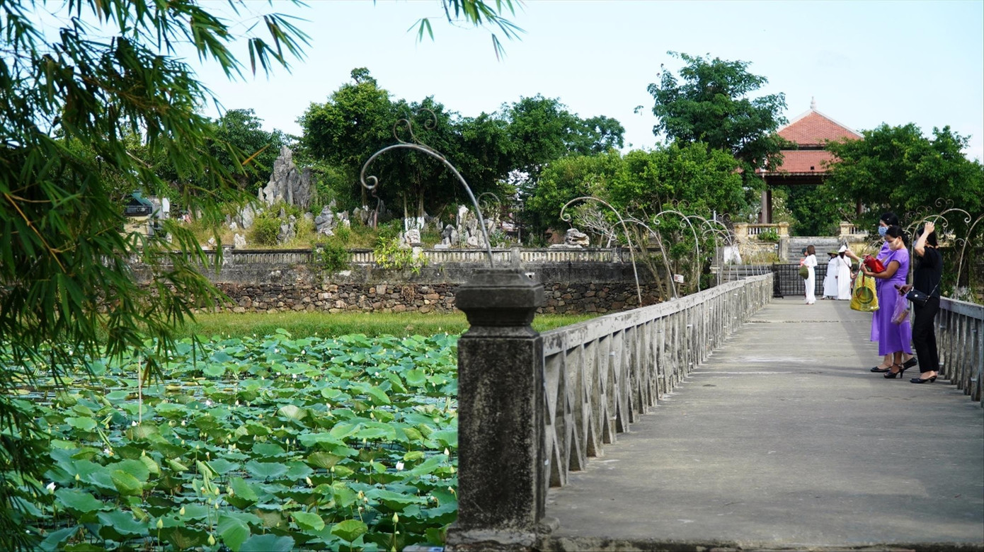 Du khách khó cưỡng trước sức hút của sen trắng Tịnh hồ