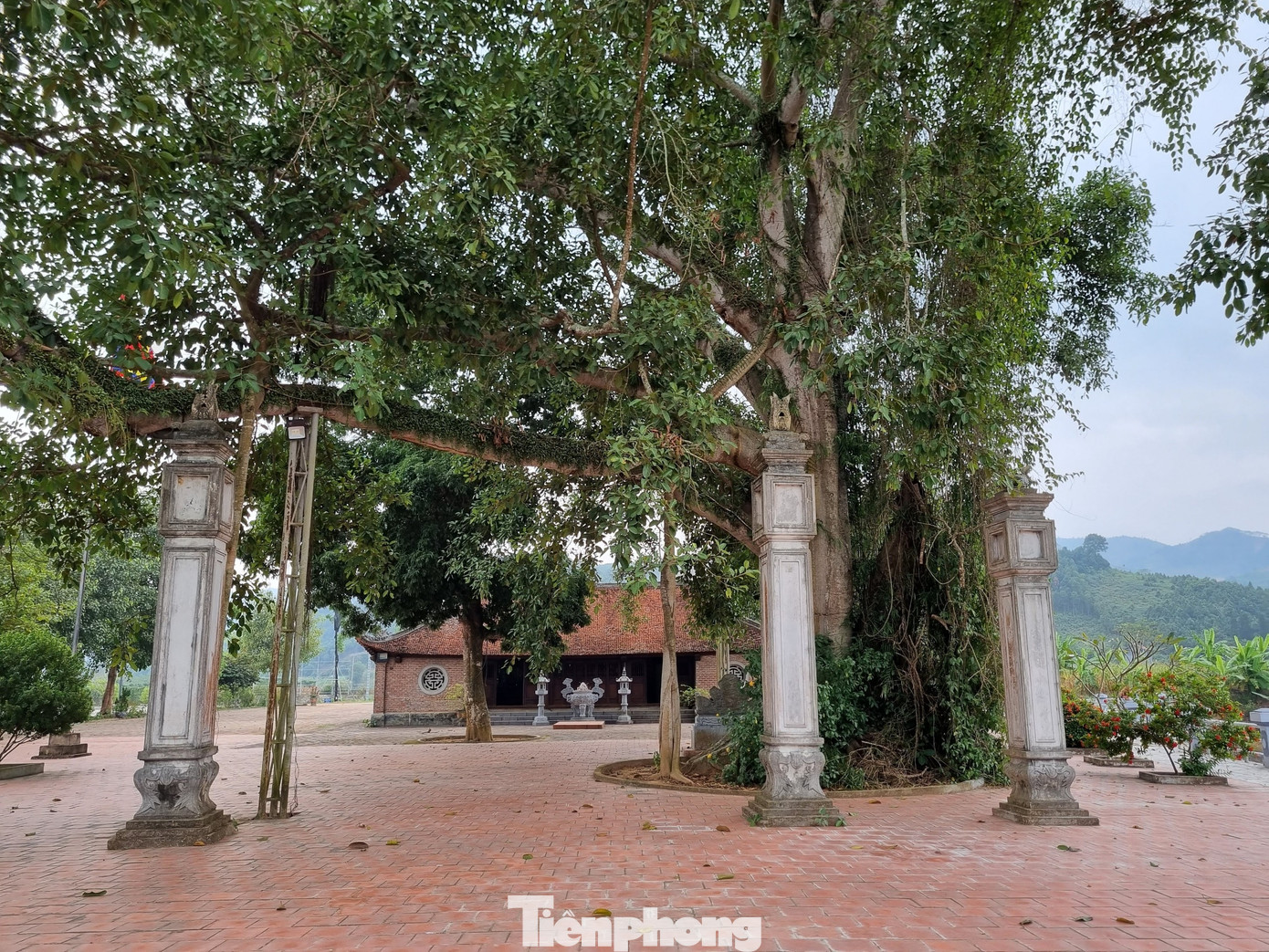 Một góc đền Nhược Sơn. Một góc đền Nhược Sơn.