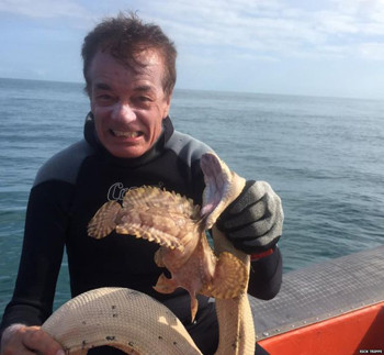 Rắn hổ độc giao chiến dữ dội với cá mặt quỷ ảnh 5