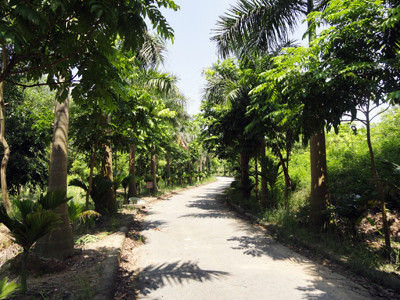 Ngân sách thành phố vừa chi 17 tỷ làm Vườn thực vật, nay lại đồng ý cho làm khu đô thị sinh thái