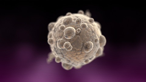 Bạn có biết: Khối u bướu hình thành qua những bước nào? ảnh 3