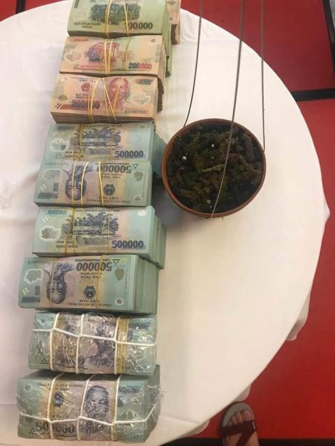 Thương vụ 1 đốt lan giá 3,5 tỷ đồng: Chiêu trò thổi giá? ảnh 2