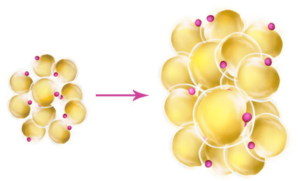 Bạn có biết: Khối u bướu hình thành qua những bước nào? ảnh 4