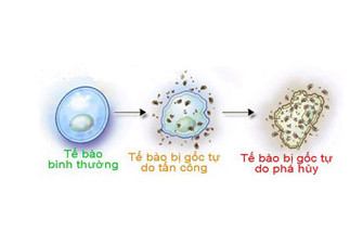 Bạn có biết: Khối u bướu hình thành qua những bước nào? ảnh 2